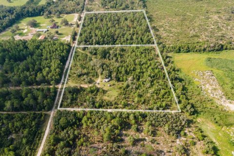 Terreno en venta en Archer, Florida № 1341228 - foto 4