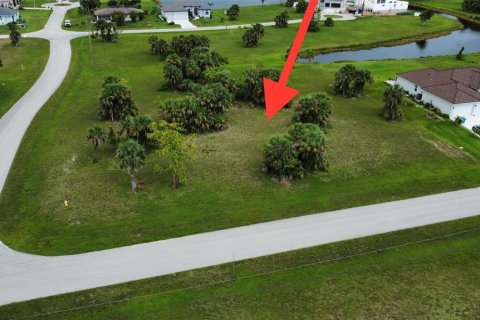 Terrain à vendre à Punta Gorda, Floride № 1036425 - photo 1