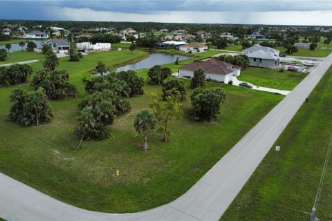 Terrain à vendre à Punta Gorda, Floride № 1036425 - photo 5