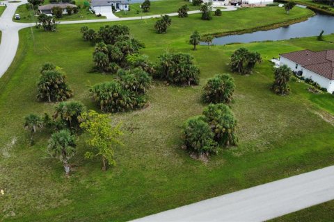 Terrain à vendre à Punta Gorda, Floride № 1036425 - photo 3