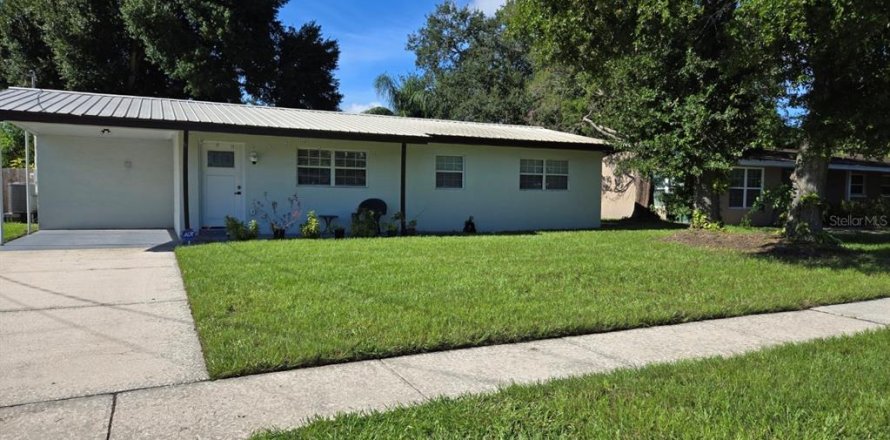 House in Tampa, Florida 4 bedrooms, 146.6 sq.m. № 1342186