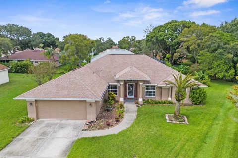 Villa ou maison à vendre à Spring Hill, Floride: 4 chambres, 216.65 m2 № 1350439 - photo 1