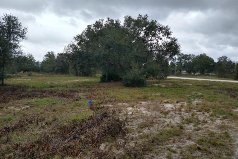 Terreno en venta en Okeechobee, Florida № 1076977 - foto 1