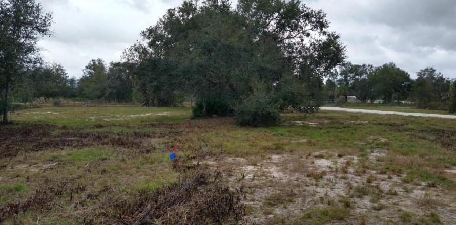 Terreno en Okeechobee, Florida № 1076977