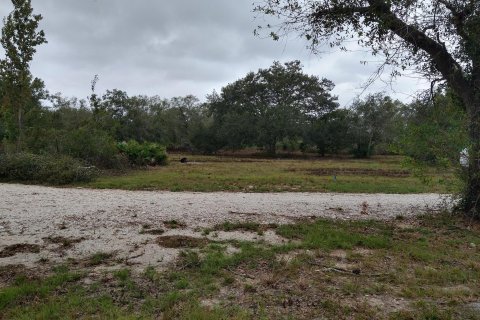 Terrain à vendre à Okeechobee, Floride № 1076977 - photo 2