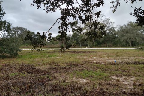 Land in Okeechobee, Florida № 1076977 - photo 14