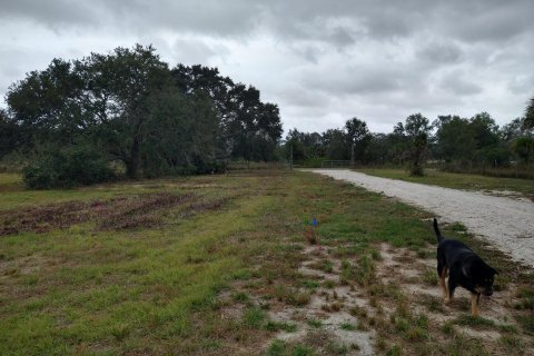 Land in Okeechobee, Florida № 1076977 - photo 15