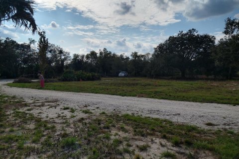 Land in Okeechobee, Florida № 1076977 - photo 13