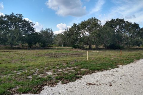 Terrain à vendre à Okeechobee, Floride № 1076977 - photo 12