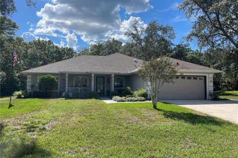 Villa ou maison à vendre à Homosassa, Floride: 3 chambres, 183.95 m2 № 1349548 - photo 2