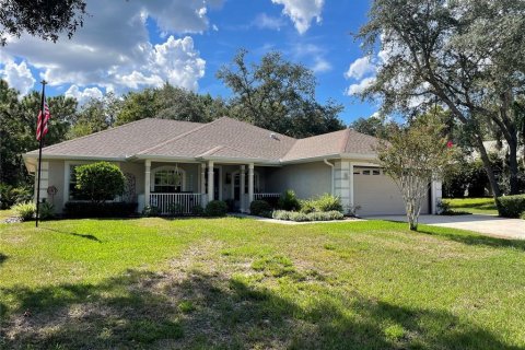 Villa ou maison à vendre à Homosassa, Floride: 3 chambres, 183.95 m2 № 1349548 - photo 1