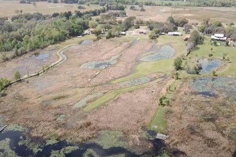 Land in Zephyrhills, Florida № 1064144 - photo 6