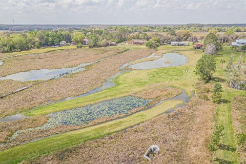 Land in Zephyrhills, Florida № 1064144 - photo 13