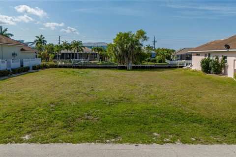 Terrain à vendre à Punta Gorda, Floride № 1064850 - photo 2