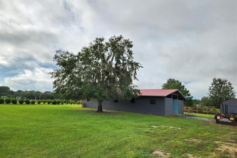 Terreno en venta en Ocala, Florida № 1370160 - foto 6