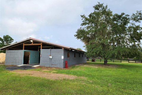 Terreno en venta en Ocala, Florida № 1370160 - foto 7