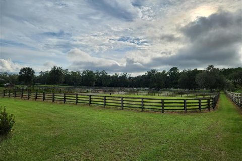 Land in Ocala, Florida № 1370160 - photo 20