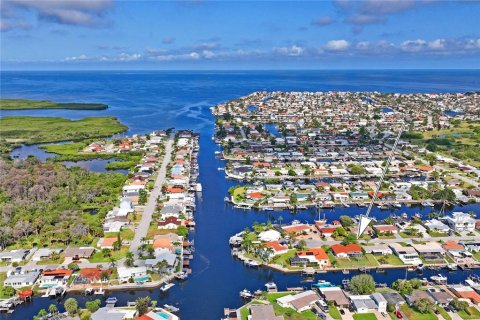 Villa ou maison à vendre à New Port Richey, Floride: 2 chambres, 158.86 m2 № 1254936 - photo 1