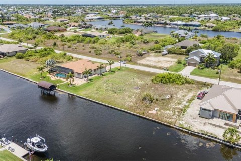 Land in Port Charlotte, Florida № 1249644 - photo 16