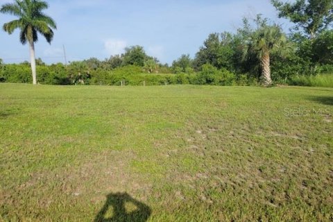 Land in Punta Gorda, Florida № 1337662 - photo 5