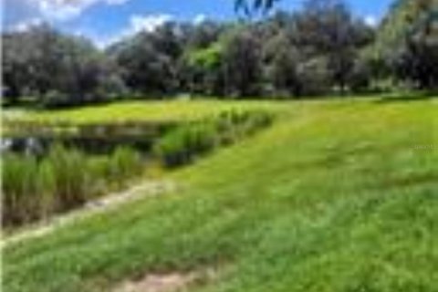 Купить земельный участок в Пирсон, Флорида № 1066556 - фото 1