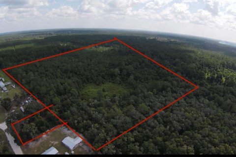 Terreno en venta en San Mateo, Florida № 1341092 - foto 1