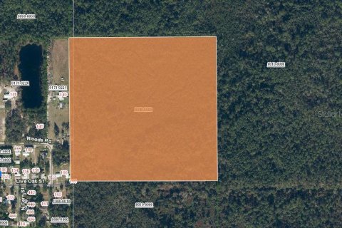 Terreno en venta en San Mateo, Florida № 1341092 - foto 5