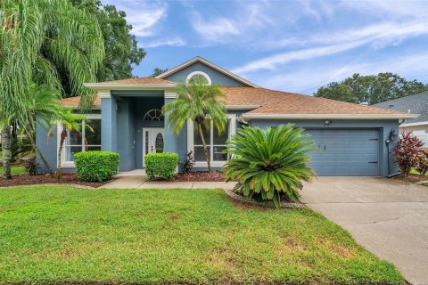 Casa en venta en Valrico, Florida, 4 dormitorios, 255.48 m2 № 1380805 - foto 3