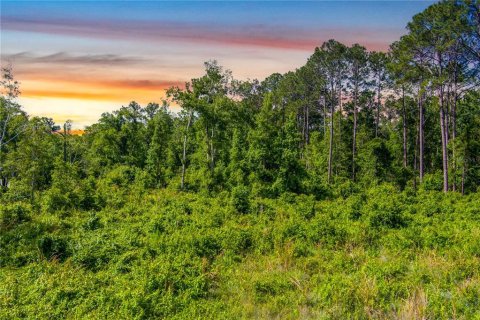 Terreno en venta en Saint Augustine, Florida № 1242559 - foto 5