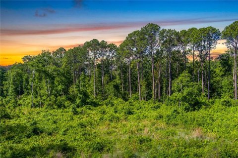 Terreno en venta en Saint Augustine, Florida № 1242559 - foto 3