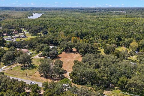 Land in Fruitland Park, Florida № 1379893 - photo 4