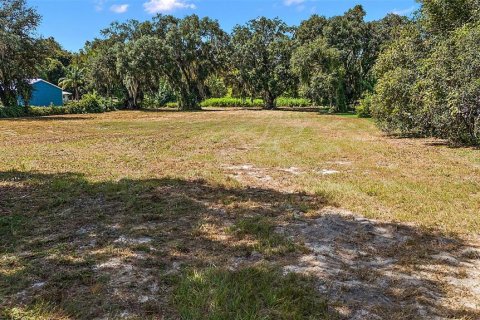 Land in Fruitland Park, Florida № 1379893 - photo 13