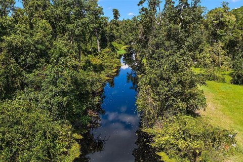 Land in Fruitland Park, Florida № 1379893 - photo 12