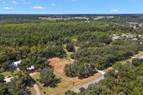 Terreno en venta en Fruitland Park, Florida № 1379893 - foto 2