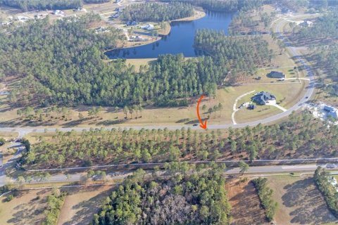 Купить земельный участок в Джэксонвилл, Флорида № 1062751 - фото 5