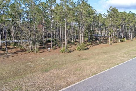 Terrain à vendre à Jacksonville, Floride № 1062751 - photo 7