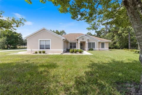 Villa ou maison à vendre à Homosassa, Floride: 4 chambres, 236.9 m2 № 1339813 - photo 2