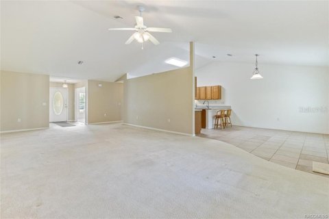 Villa ou maison à vendre à Homosassa, Floride: 4 chambres, 236.9 m2 № 1339813 - photo 22