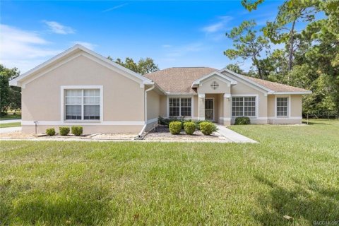 Villa ou maison à vendre à Homosassa, Floride: 4 chambres, 236.9 m2 № 1339813 - photo 3