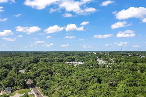 Land in Ocala, Florida № 1277978 - photo 10