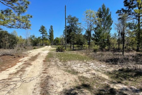 Land in Bronson, Florida № 1333721 - photo 6