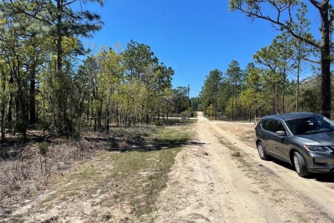 Land in Bronson, Florida № 1333721 - photo 5