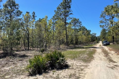 Land in Bronson, Florida № 1333721 - photo 2