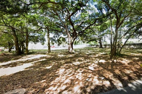 Terreno en venta en Tavares, Florida № 1247412 - foto 1