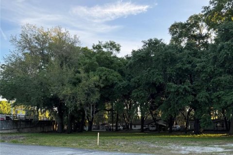 Terreno en venta en Tavares, Florida № 1247412 - foto 4