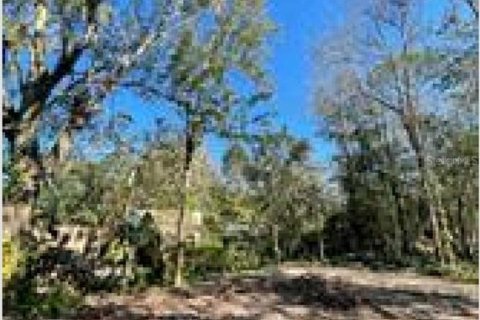 Terreno en venta en Orlando, Florida № 1349086 - foto 8