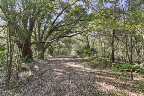 Land in Archer, Florida № 1349093 - photo 10