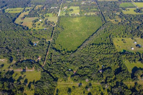 Land in Archer, Florida № 1349093 - photo 2