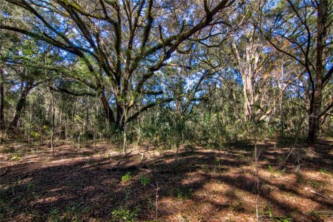 Land in Archer, Florida № 1349093 - photo 11