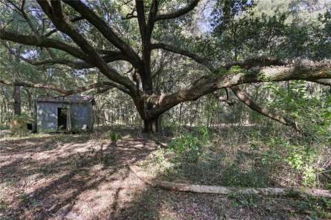 Terrain à vendre à Archer, Floride № 1349093 - photo 6